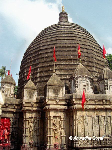 Kaziranga 
