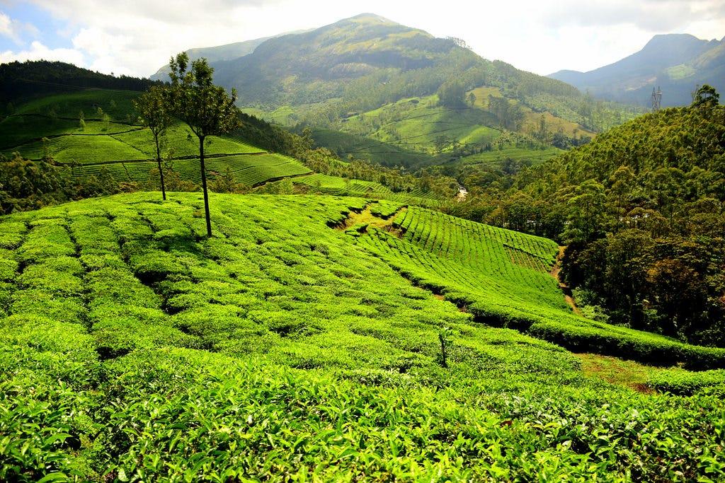 Munnar