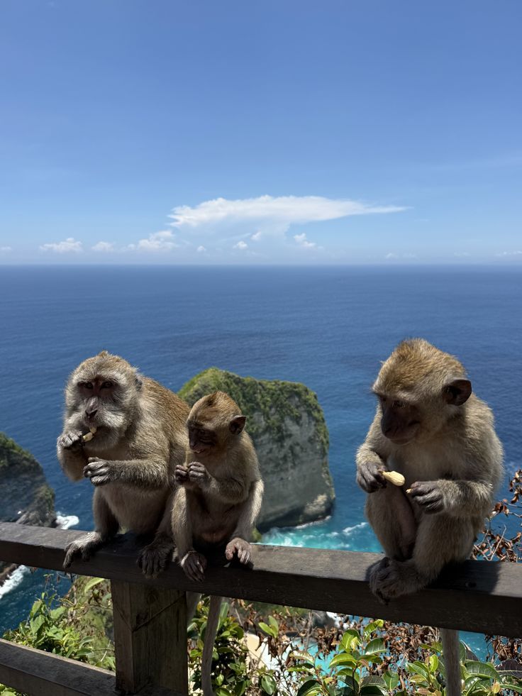 Bali In Bloom