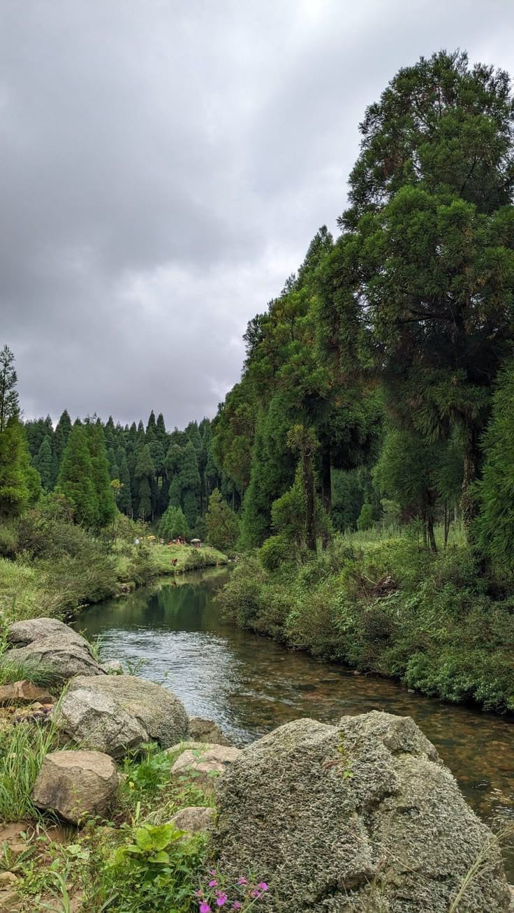 Meghalaya Wild Trails