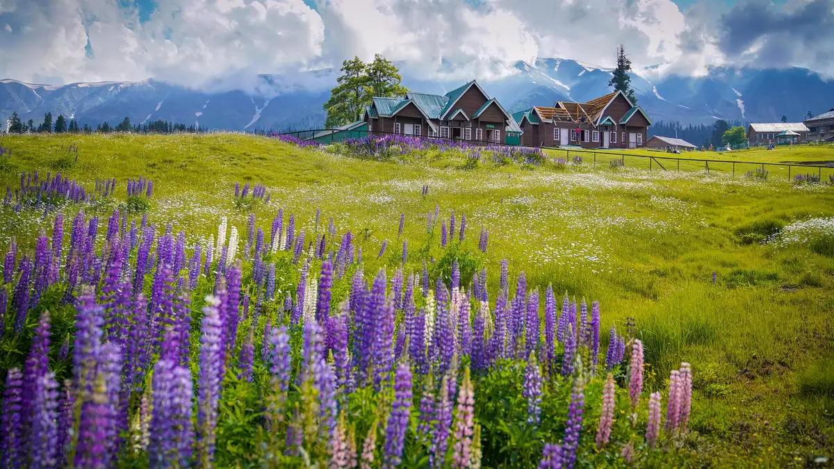 Kashmir Paradise Escape