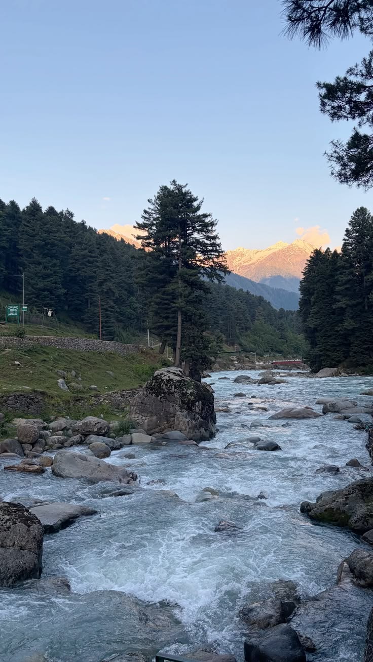 Whisper of Kasmir