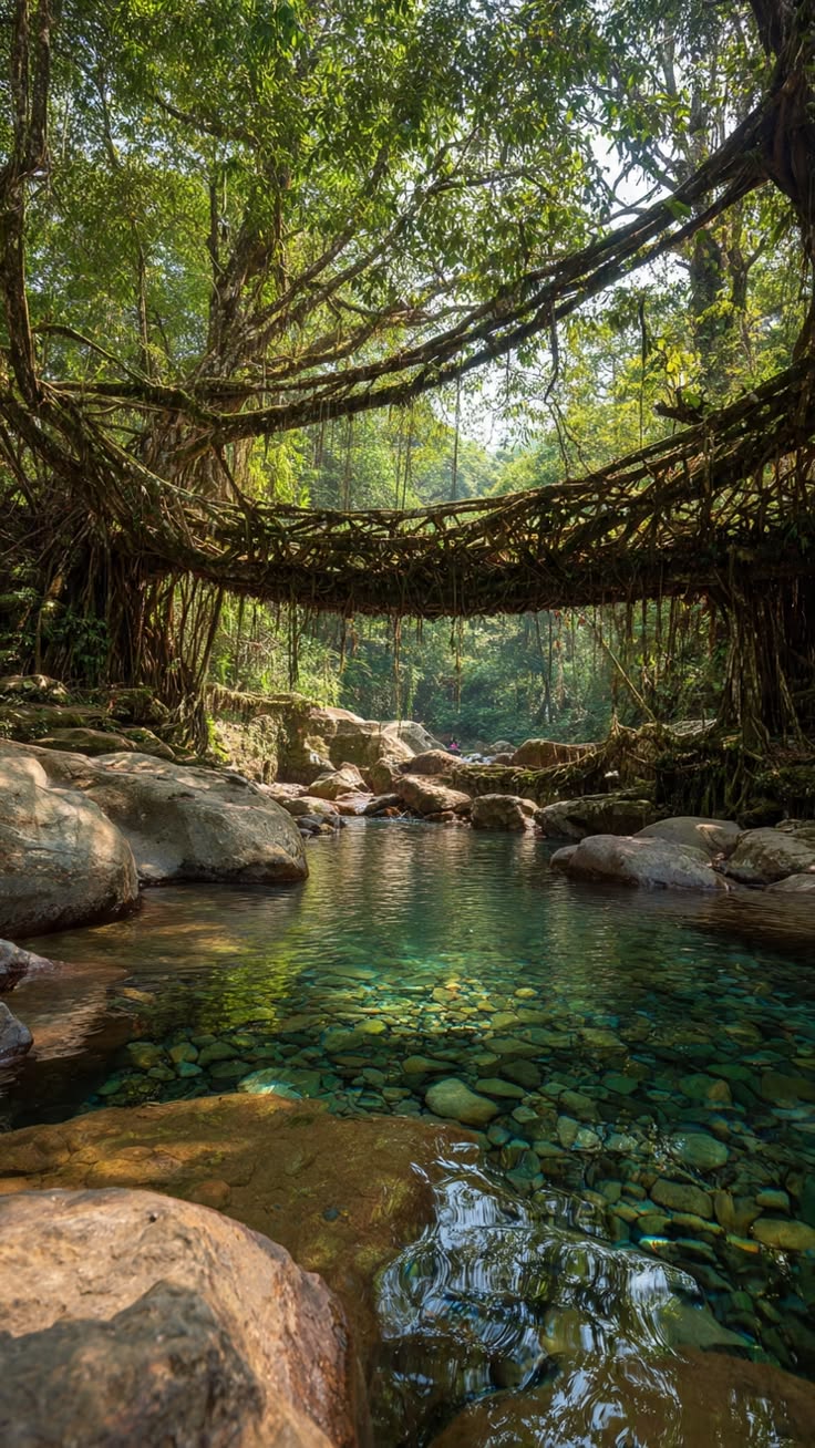 Whispers of Meghalaya