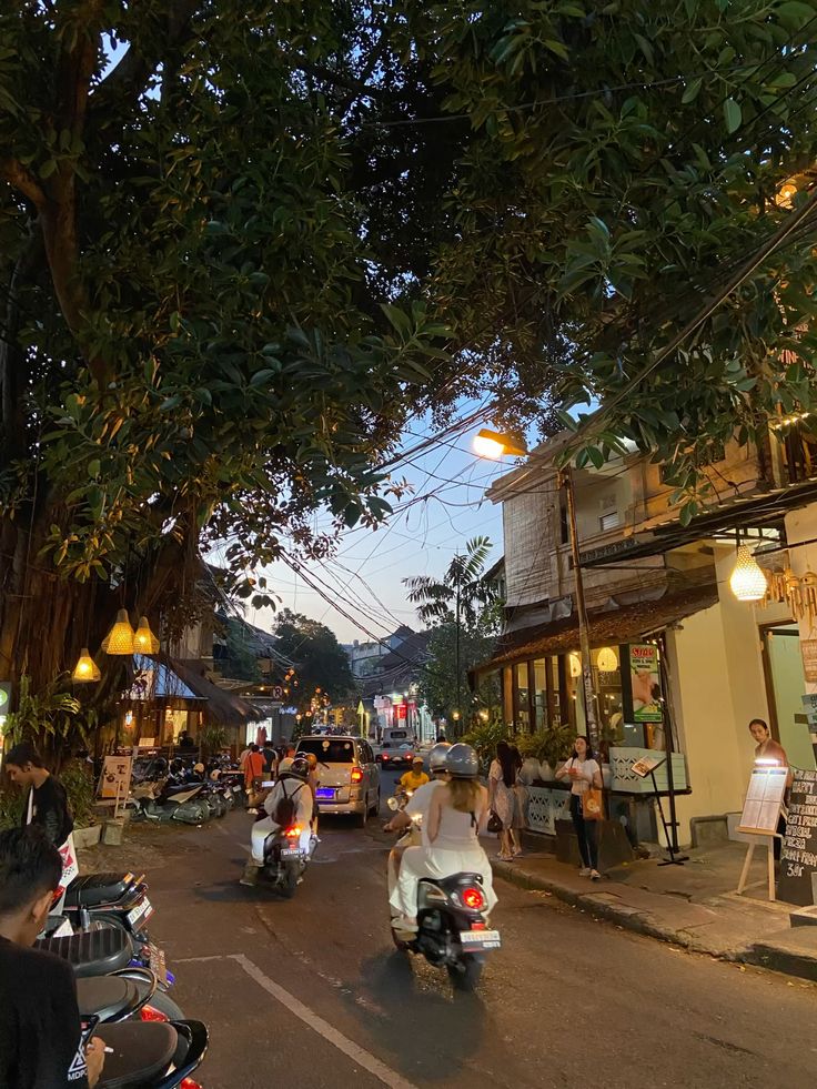 Bali In Bloom