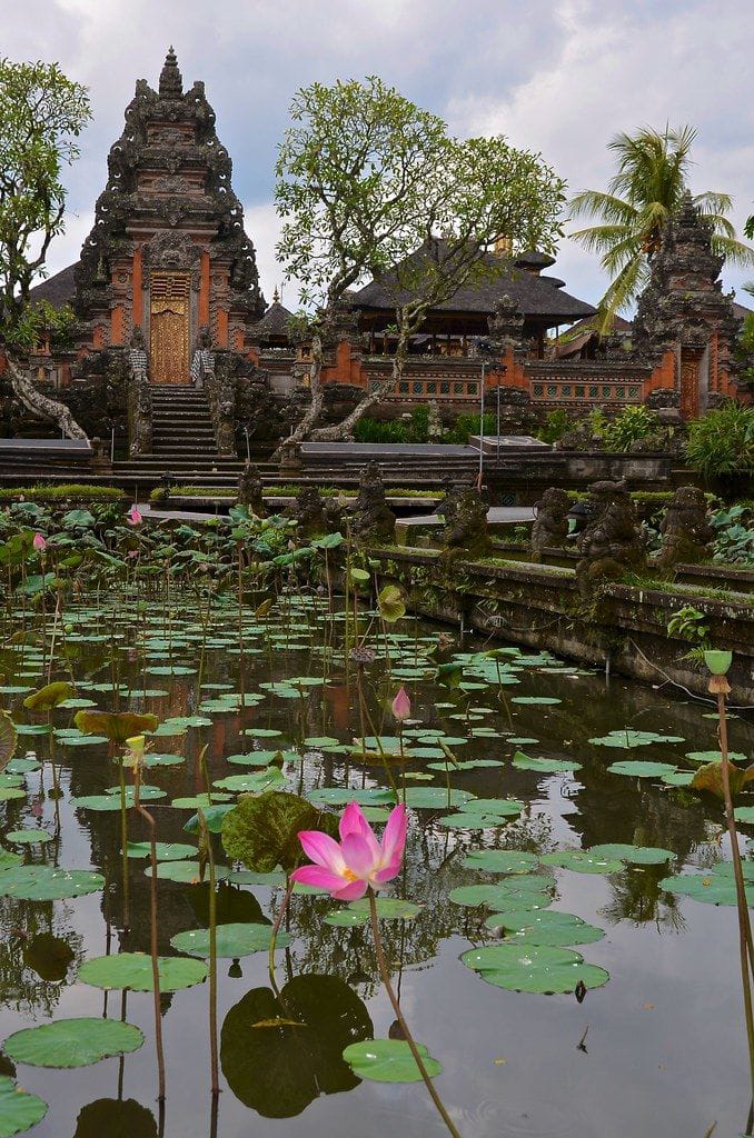 Bali In Bloom