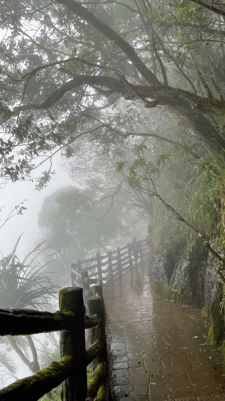 Meghalaya Wild Trails
