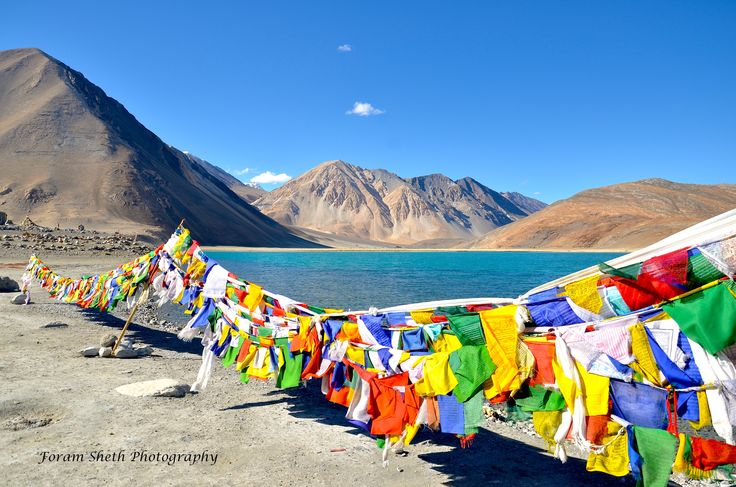 Ladakh himalayan Escape
